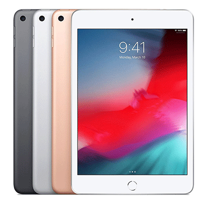 iPad mini5 Wi-Fi+Cellularモデル (256GB)